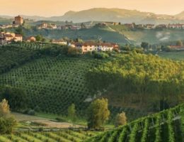 Langhe, Barolo ,Italia Bound, UNESCO