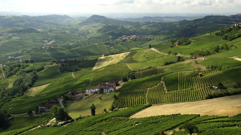 La Morra, Langhe ,Italia Bound, Italian holiday Davide Fattor